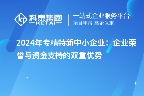 2024年專精特新中小企業(yè):企業(yè)榮譽與資金支持的雙重優(yōu)勢