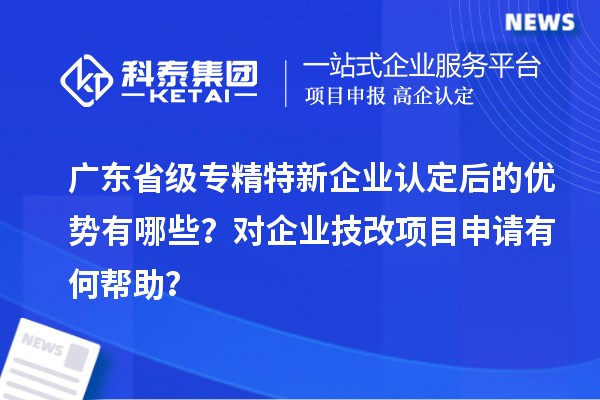 廣東省級(jí)專精特新企業(yè)認(rèn)定后的優(yōu)勢有哪些？對企業(yè)技改項(xiàng)目申請有何幫助？