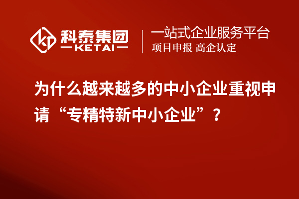 為什么越來越多的中小企業(yè)重視申請(qǐng)“專精特新中小企業(yè)”？