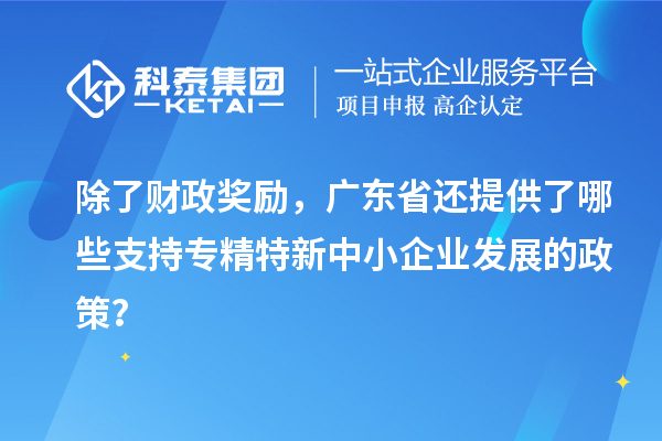 除了財政獎勵，廣東省還提供了哪些支持專精特新中小企業(yè)發(fā)展的政策？