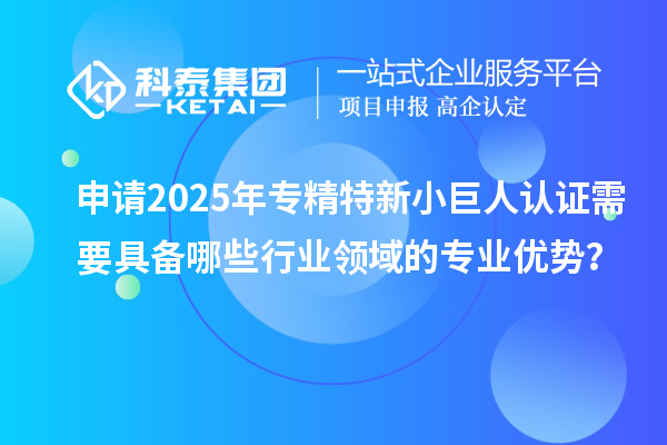 申請(qǐng)2025年專精特新小巨人認(rèn)證需要具備哪些行業(yè)領(lǐng)域的專業(yè)優(yōu)勢？