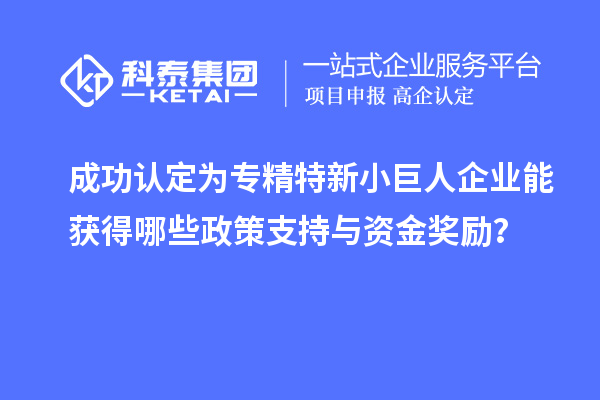 成功認(rèn)定為專精特新小巨人企業(yè)能獲得哪些政策支持與資金獎(jiǎng)勵(lì)？
