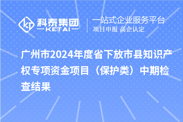 廣州市2024年度省下放市縣知識(shí)產(chǎn)權(quán)專項(xiàng)資金項(xiàng)目（保護(hù)類）中期檢查結(jié)果