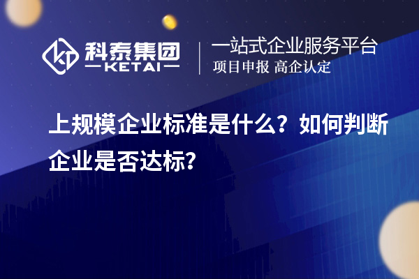 上規(guī)模企業(yè)標準是什么？如何判斷企業(yè)是否達標？