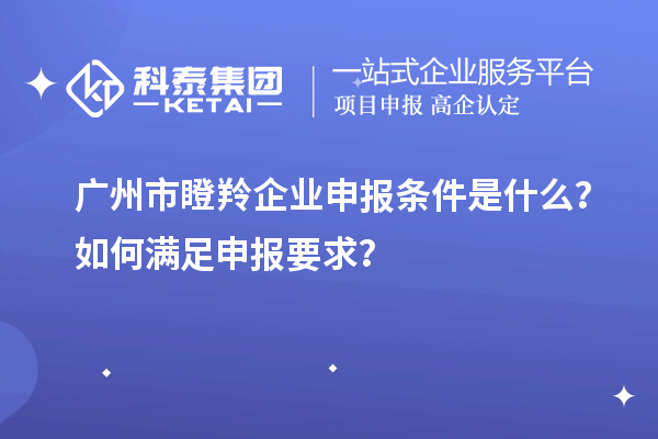廣州市瞪羚企業(yè)申報(bào)條件是什么？如何滿足申報(bào)要求？