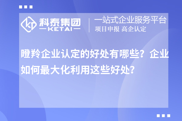 瞪羚企業(yè)認(rèn)定的好處有哪些？企業(yè)如何最大化利用這些好處？