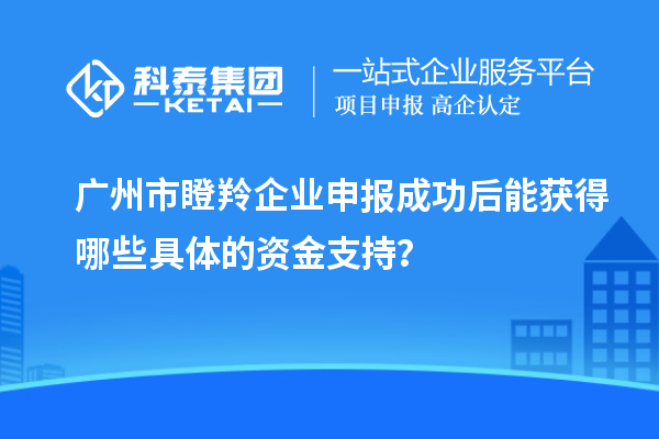 廣州市瞪羚企業(yè)申報成功后能獲得哪些具體的資金支持？
