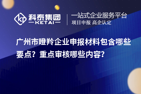 廣州市瞪羚企業(yè)申報材料包含哪些要點？重點審核哪些內(nèi)容？