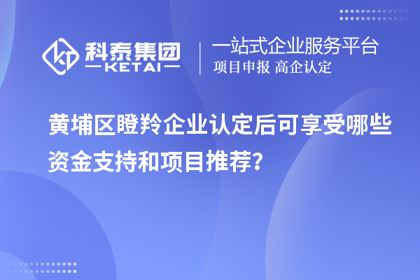 黃埔區(qū)瞪羚企業(yè)認定后可享受哪些資金支持和項目推薦？