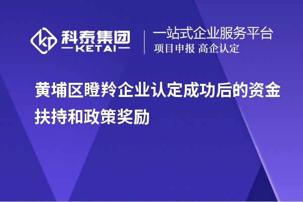 黃埔區(qū)瞪羚企業(yè)認定成功后的資金扶持和政策獎勵