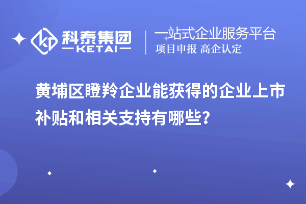 黃埔區(qū)瞪羚企業(yè)能獲得的企業(yè)上市補貼和相關(guān)支持有哪些？