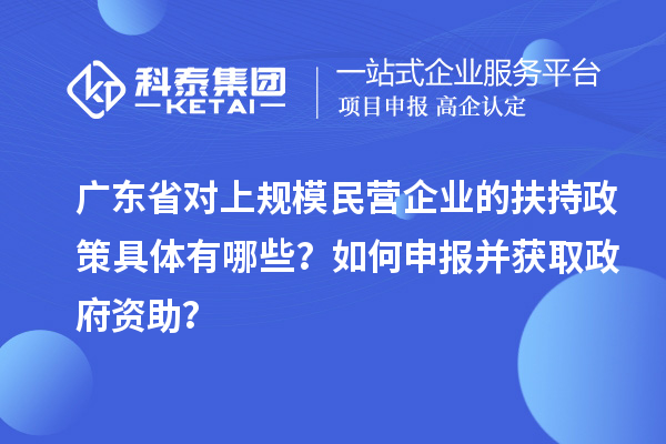 廣東省對上規(guī)模民營企業(yè)的扶持政策具體有哪些？如何申報并獲取政府資助？
