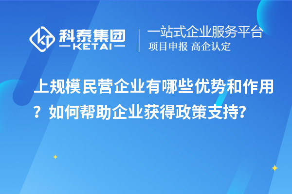 上規(guī)模民營企業(yè)有哪些優(yōu)勢和作用？如何幫助企業(yè)獲得政策支持？