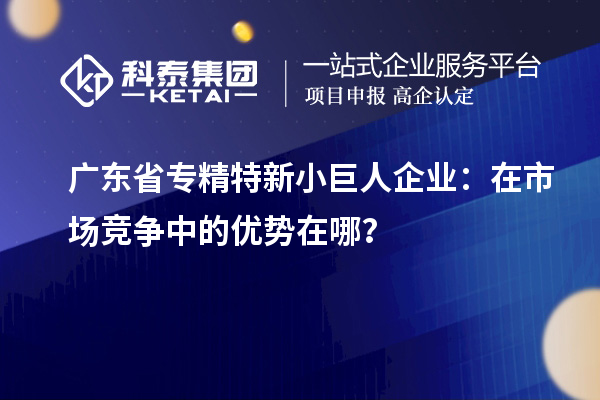 廣東省專精特新小巨人企業(yè)：在市場競爭中的優(yōu)勢在哪？