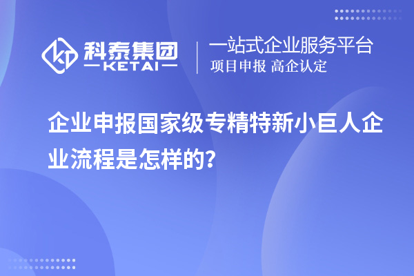 企業(yè)申報國家級專精特新小巨人企業(yè)流程是怎樣的？