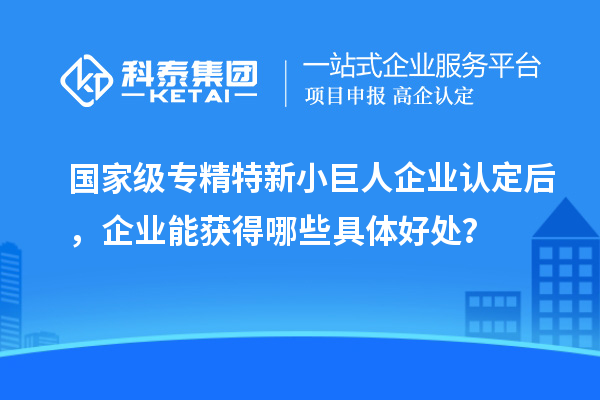 國(guó)家級(jí)專精特新小巨人企業(yè)認(rèn)定后，企業(yè)能獲得哪些具體好處？