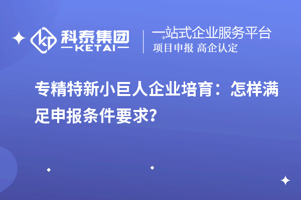 專精特新小巨人企業(yè)培育:怎樣滿足申報條件要求?