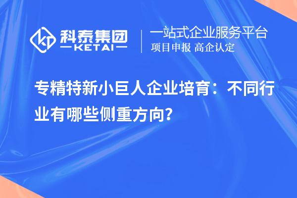 專精特新小巨人企業(yè)培育：不同行業(yè)有哪些側(cè)重方向？