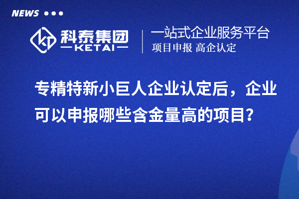 專精特新小巨人企業(yè)認(rèn)定后，企業(yè)可以申報(bào)哪些含金量高的項(xiàng)目？
