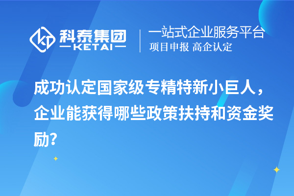 成功認(rèn)定國(guó)家級(jí)專精特新小巨人，企業(yè)能獲得哪些政策扶持和資金獎(jiǎng)勵(lì)？