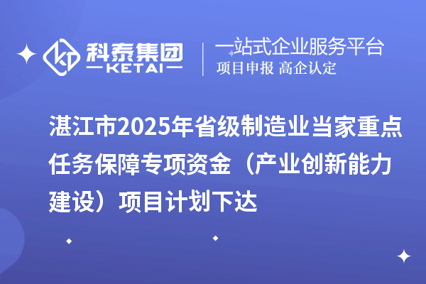 湛江市2025年省級制造業(yè)當(dāng)家重點任務(wù)保障專項資金（產(chǎn)業(yè)創(chuàng)新能力建設(shè)）項目計劃下達