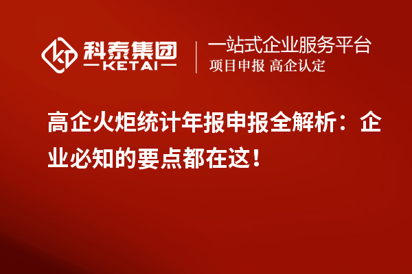 高企火炬統(tǒng)計年報申報全解析：企業(yè)必知的要點都在這！