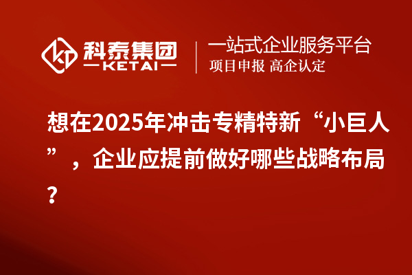 想在2025年沖擊專精特新 “小巨人”，企業(yè)應(yīng)提前做好哪些戰(zhàn)略布局？