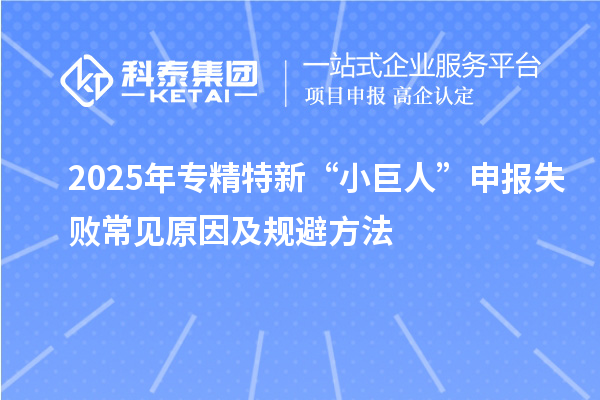 2025年專精特新“小巨人”申報(bào)失敗常見(jiàn)原因及規(guī)避方法