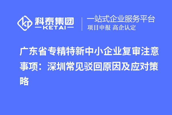 廣東省專精特新中小企業(yè)復(fù)審注意事項：深圳常見駁回原因及應(yīng)對策略