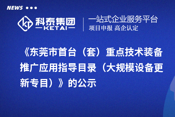 《東莞市首臺(套)重點(diǎn)技術(shù)裝備推廣應(yīng)用指導(dǎo)目錄(大規(guī)模設(shè)備更新專目)》的公示