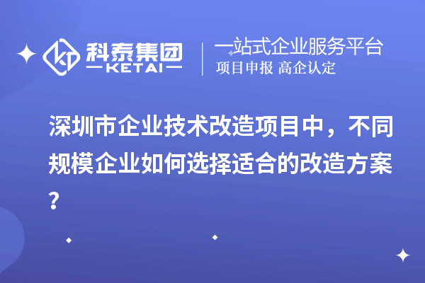 深圳市企業(yè)技術(shù)改造項目中，不同規(guī)模企業(yè)如何選擇適合的改造方案？