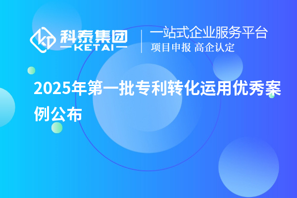 2025年第一批專利轉(zhuǎn)化運用優(yōu)秀案例公布