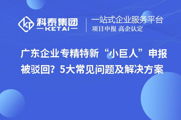 廣東企業(yè)專精特新“小巨人”申報被駁回？5大常見問題及解決方案