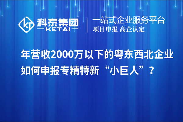 年?duì)I收2000萬以下的粵東西北企業(yè)如何申報專精特新“小巨人”？