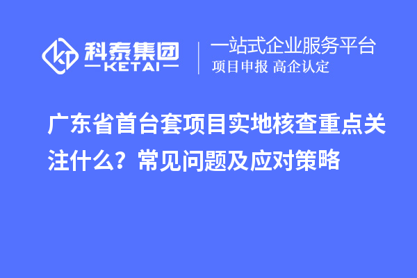 廣東省首臺套項目實地核查重點關注什么？常見問題及應對策略