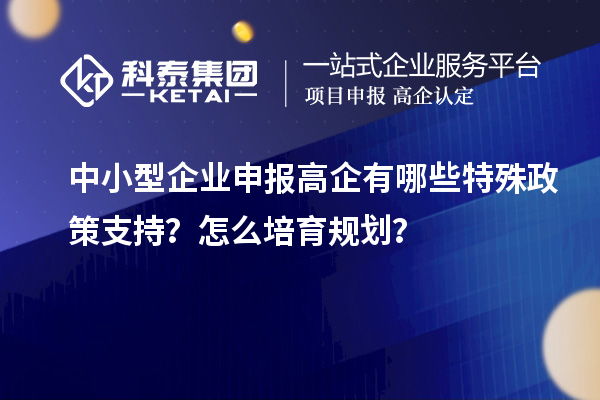 中小型企業(yè)申報高企有哪些特殊政策支持？怎么培育規(guī)劃？