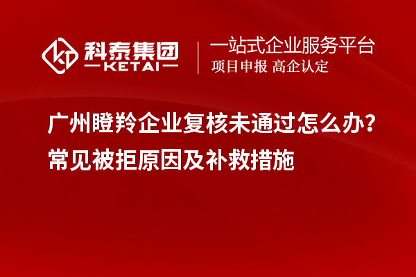 廣州瞪羚企業(yè)復核未通過怎么辦？常見被拒原因及補救措施