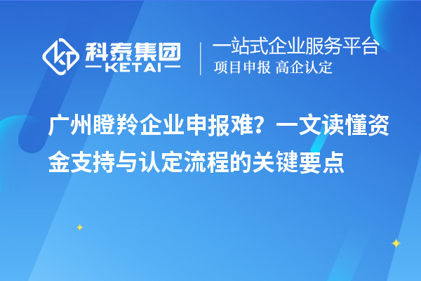 廣州瞪羚企業(yè)申報難？一文讀懂資金支持與認定流程的關鍵要點
