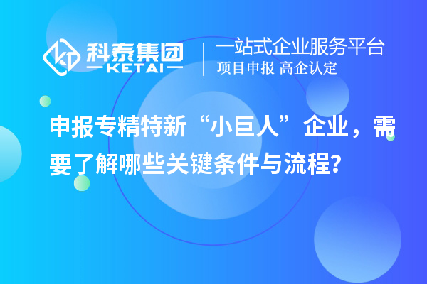 申報專精特新“小巨人”企業(yè)，需要了解哪些關鍵條件與流程？