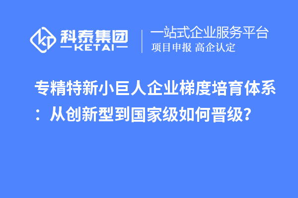 專精特新小巨人企業(yè)梯度培育體系：從創(chuàng)新型到國家級如何晉級？