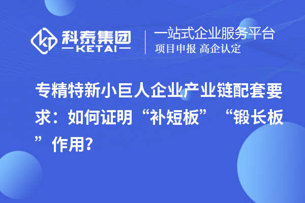 專精特新小巨人企業(yè)產(chǎn)業(yè)鏈配套要求:如何證明“補短板”“鍛長板”作用?