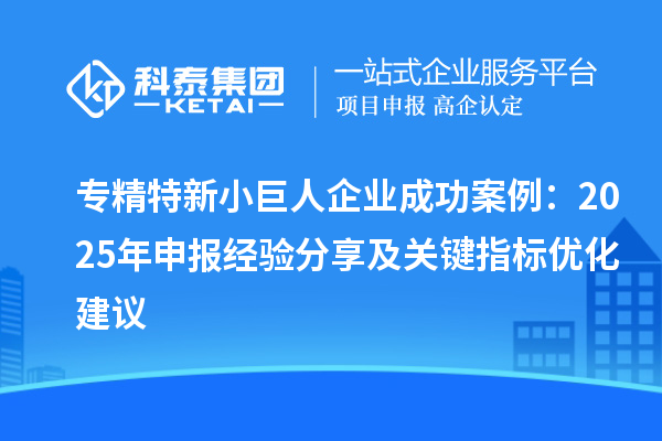 專精特新小巨人企業(yè)成功案例：2025 年申報經(jīng)驗分享及關鍵指標優(yōu)化建議