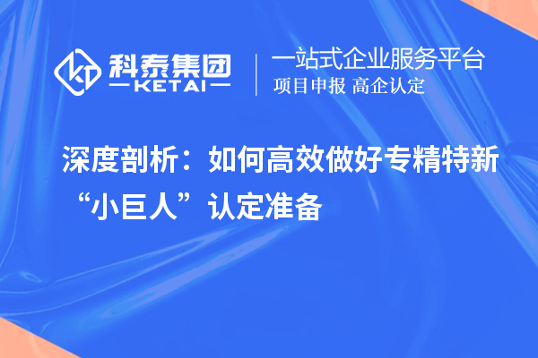 深度剖析：如何高效做好專精特新“小巨人”認(rèn)定準(zhǔn)備