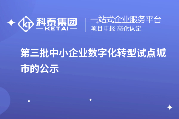 第三批中小企業(yè)數(shù)字化轉型試點城市的公示
