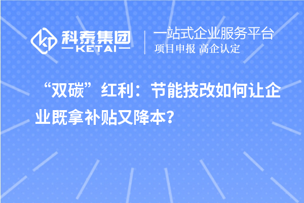 “雙碳”紅利：節(jié)能技改如何讓企業(yè)既拿補(bǔ)貼又降本？