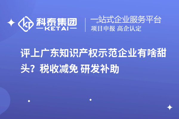 評上廣東知識產(chǎn)權(quán)示范企業(yè)有啥甜頭？稅收減免+研發(fā)補(bǔ)助