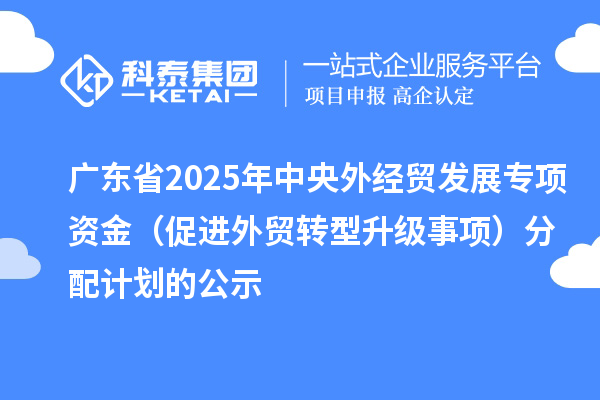 廣東省2025年中央外經(jīng)貿發(fā)展專項資金(促進外貿轉型升級事項)分配計劃的公示