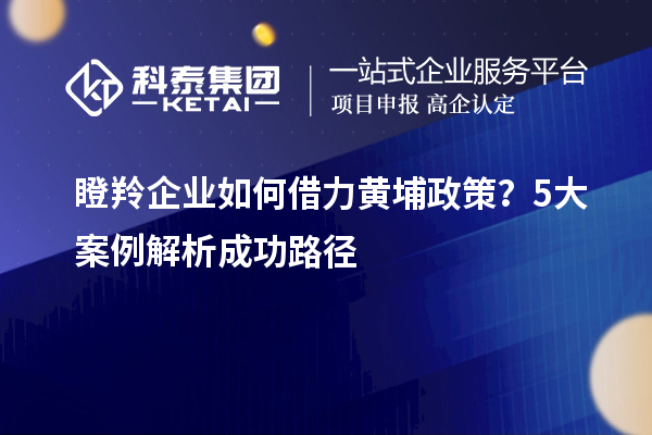 瞪羚企業(yè)如何借力黃埔政策？5大案例解析成功路徑