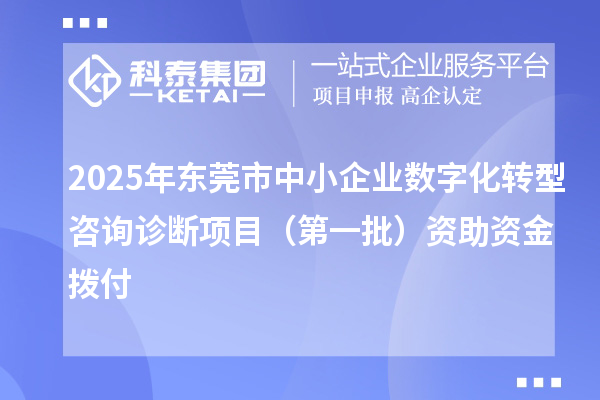 2025年東莞市中小企業(yè)數(shù)字化轉(zhuǎn)型咨詢診斷項目（第一批）資助資金撥付