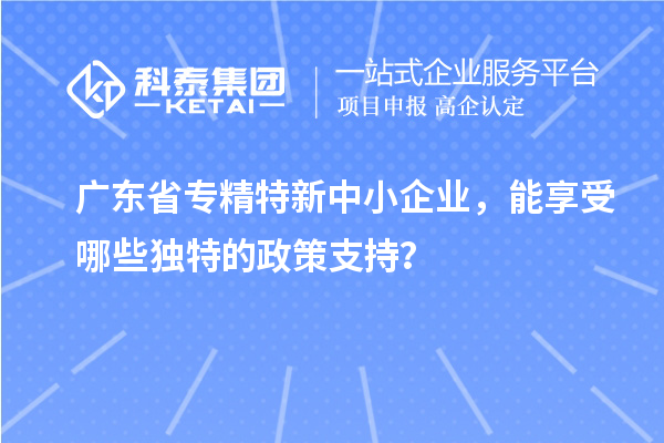 廣東省專精特新中小企業(yè)，能享受哪些獨特的政策支持？